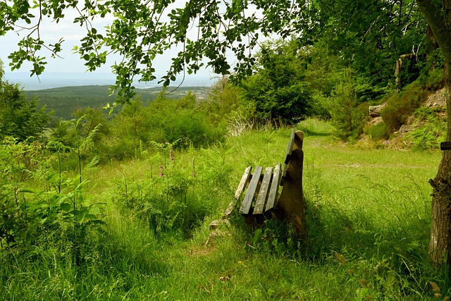 英格兰vs斯洛伐克首发：贝林厄姆、凯恩先发，什克出战.
