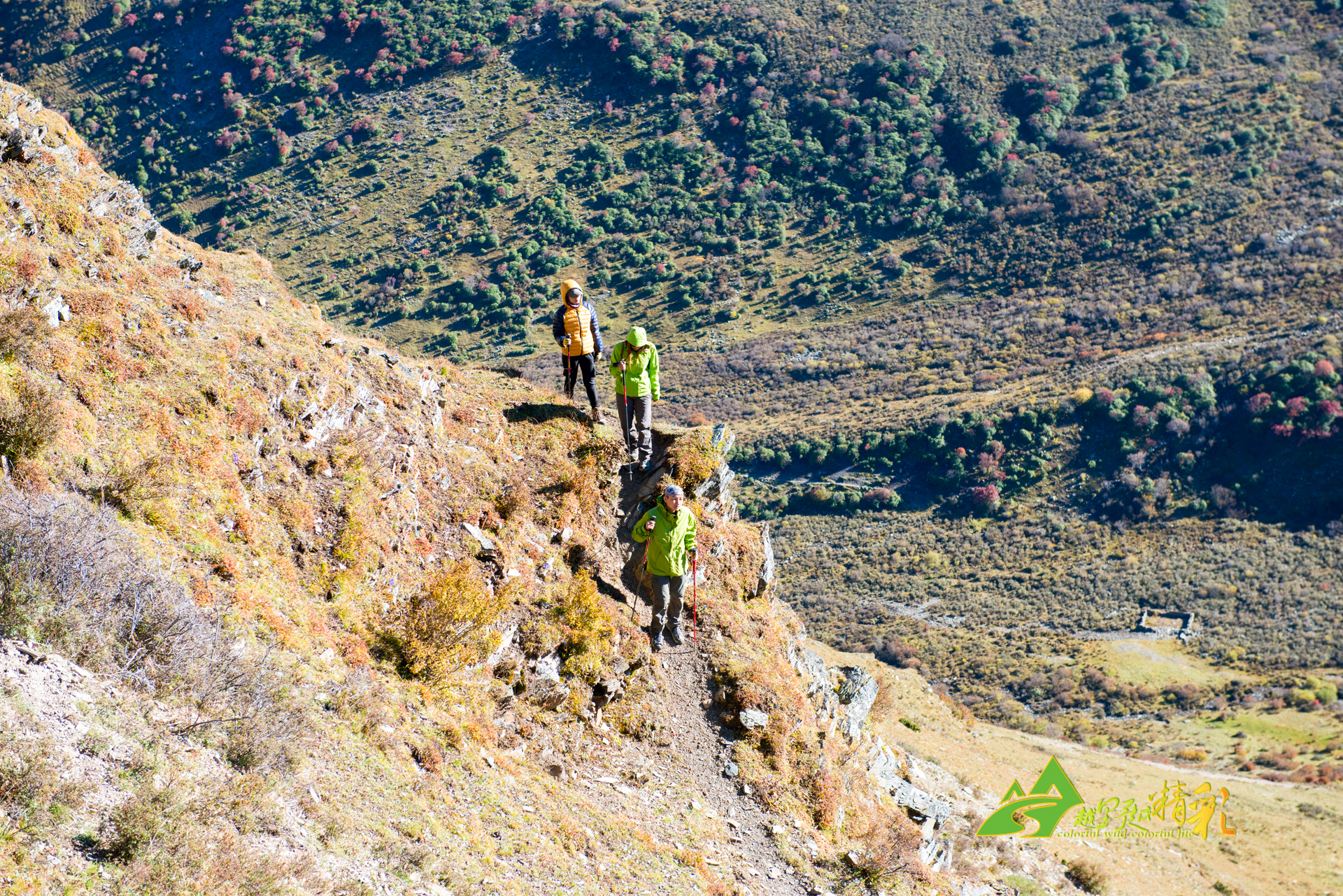 选择重回广 选择重回广