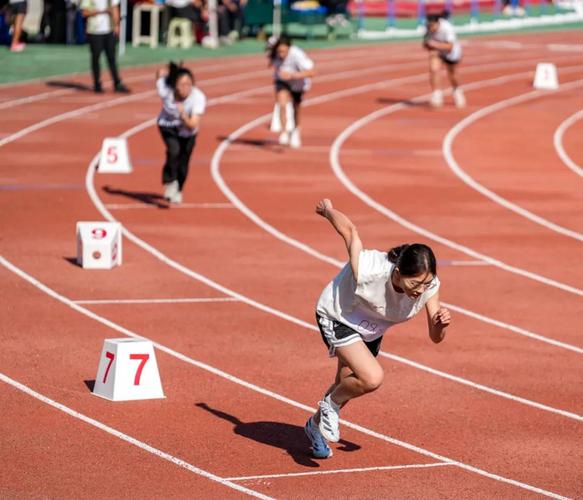 太陽隊最終 太陽隊最終