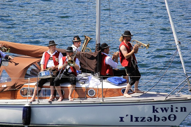 他们的行动 他们的行动