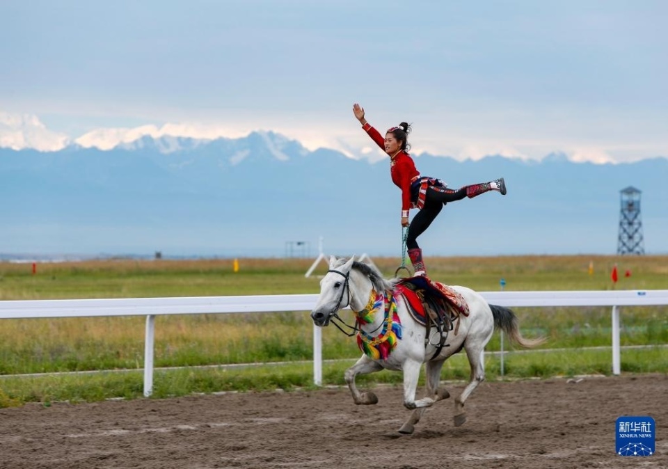 施来帮助球 施来帮助球